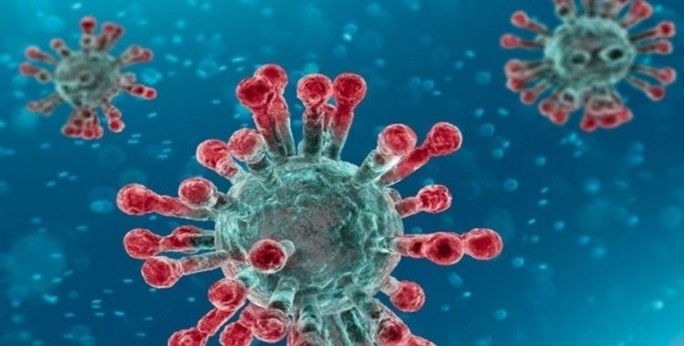 Azerbaycan'da koronavirüsten can kaybı 49 oldu