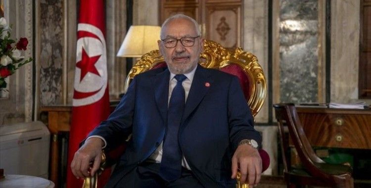 BAE'nin Gannuşi'yi karalama kampanyasının hedefi aynı zamanda Tunus tecrübesi