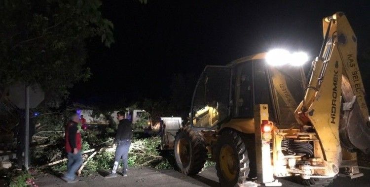 Antalya'da fırtına ağaçları kökünden söktü, elektrik direklerini yıktı