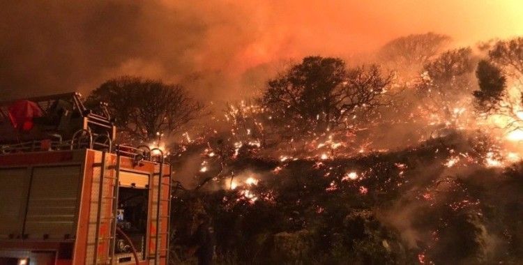 Antalya’nın Kaş ilçesindeki orman yangını kontrol altına alındı