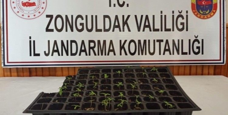 Zonguldak'ta uyuşturucu operasyonu: 1 gözaltı