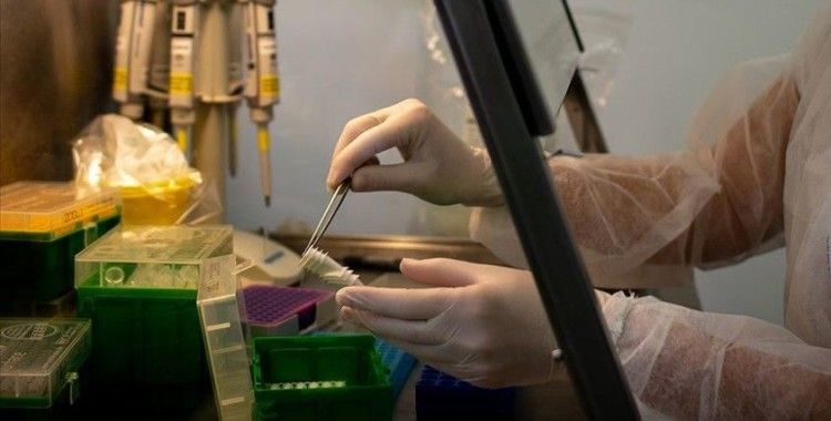 Kilis'te tedavisi devam eden koronavirüslü 31 hasta kaldı