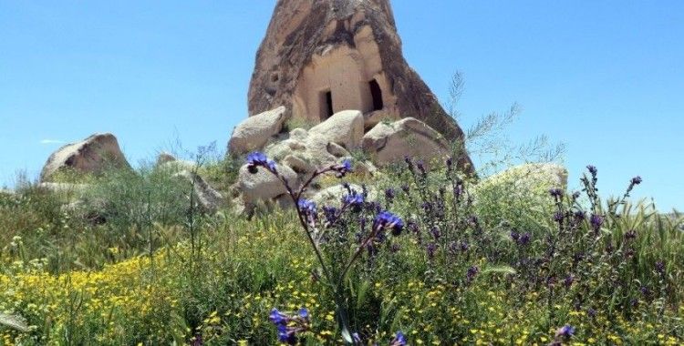 Kapadokya bölgesinde bahar güzelliği yaşanıyor