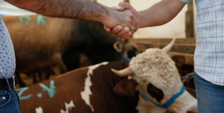 Kurban Bayramı ve öncesinde hayvan satış yerlerine yönelik önlemler belirlendi