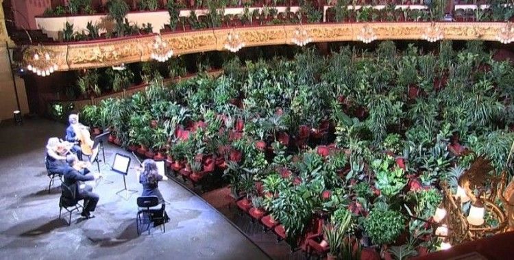 İspanya'da karantina sonrası ilk konser bitkilere verildi