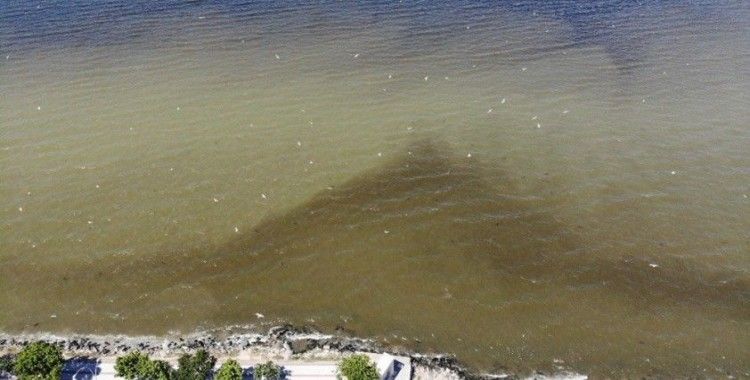 Küçükçekmece Gölü’nde oluşan kirlik havadan görüntülendi