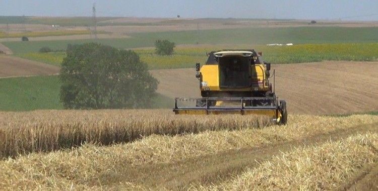 Silivri’de üreticilere 10 milyonluk tohum desteği