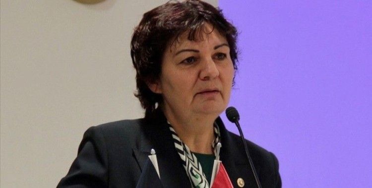 CHP Genel Başkan Yardımcısı Karabıyık'tan İstanbul Sözleşmesi açıklaması