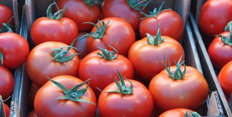 Vekil sıkı pazarlık yaptı, domates 2 lira 80 kuruşu gördü