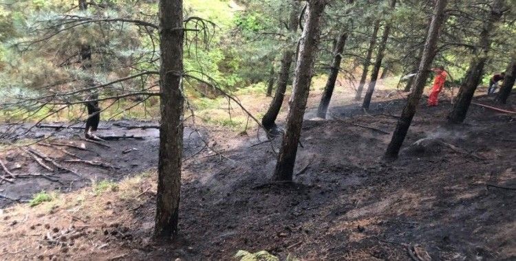 Kazdağların'da orman yangını havadan müdahale ile söndürüldü