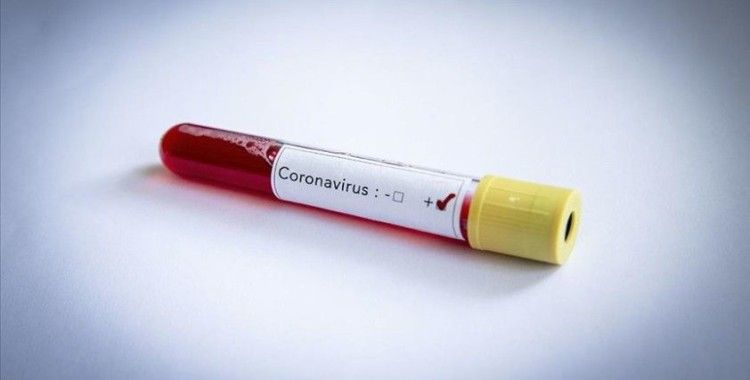 Gemlik'te koronavirüse geçit yok