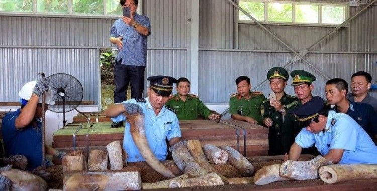 Vietnam vahşi hayvan ticaretini yasakladı