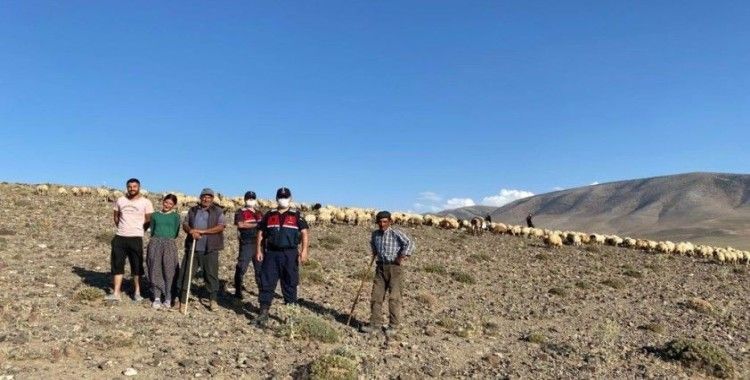 Kaybolan 300 koyunluk sürüyü jandarma droneyle buldu