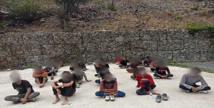 Yasadışı yollardan Türkiye'ye giriş yapan 34 yabancı uyruklu şahıs yakalandı