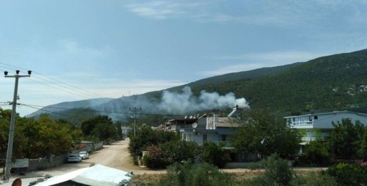 Erdek'te orman yangını