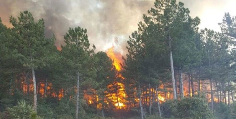 Kırklareli'deki orman yangını söndürüldü