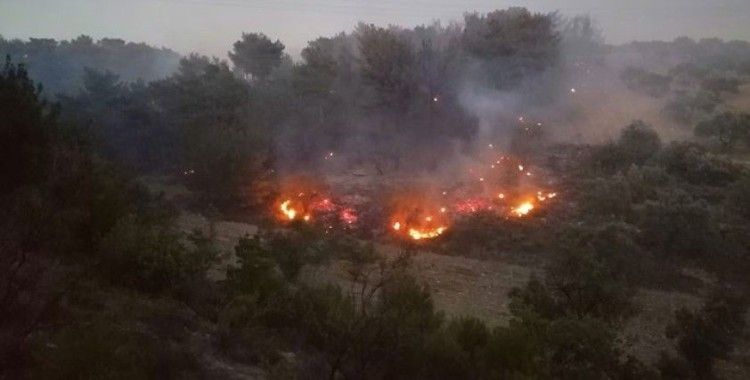Soma'da orman yangını: 1 uçak, 5 helikopter havadan müdahale ediyor