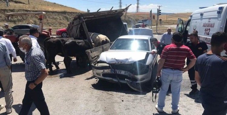 Otomobil hayvan taşıyan traktörle çarpıştı: 1 yaralı