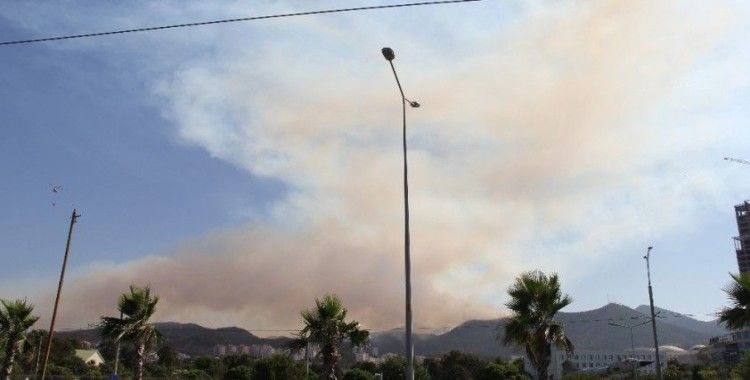 İzmir Balçova'daki orman yangını devam ediyor