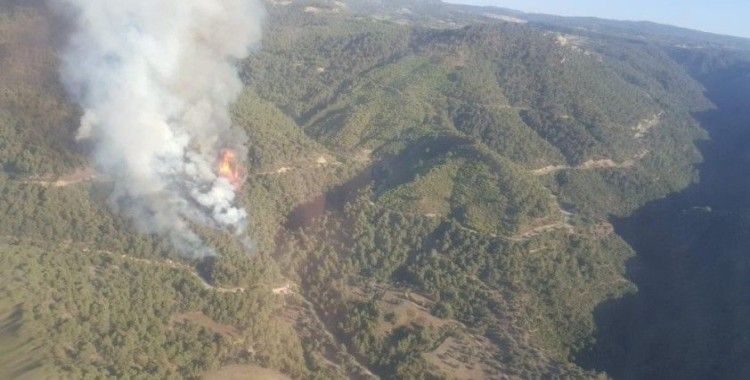 Turgutlu'da orman yangını