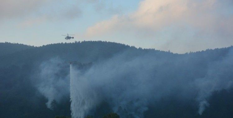 Yenice'deki orman yangını kontrol altına alındı