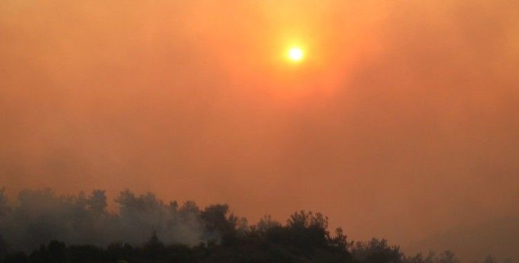 Manisa'daki orman yangını yeniden başladı