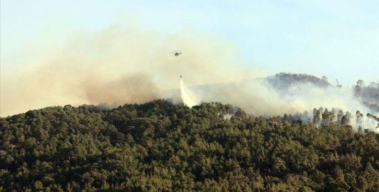 Aydın'da çıkan orman yangını Muğla'daki ormanlık alana sıçradı