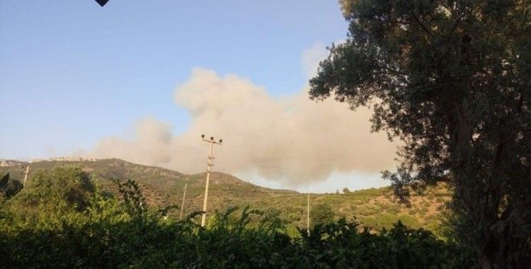 Menderes'teki yangın Kuşadası Körfezi'nde Ahmetbeyli'ye sıçradı