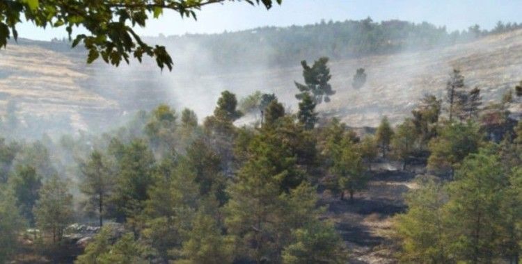 Halfeti'de çıkan orman yangını 16 saatte söndürüldü