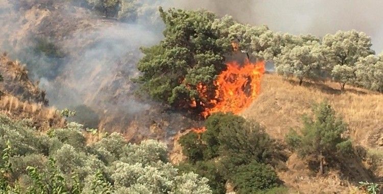 Aydın’daki yangını söndürme çalışmaları devam ediyor