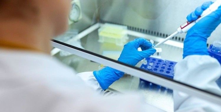 Alman Paul-Ehrlich Enstitüsü Kovid-19 aşısının geliştirmesi konusunda umutlu 