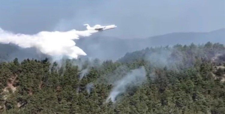 Sinop'taki orman yangınına havadan müdahale ediliyor