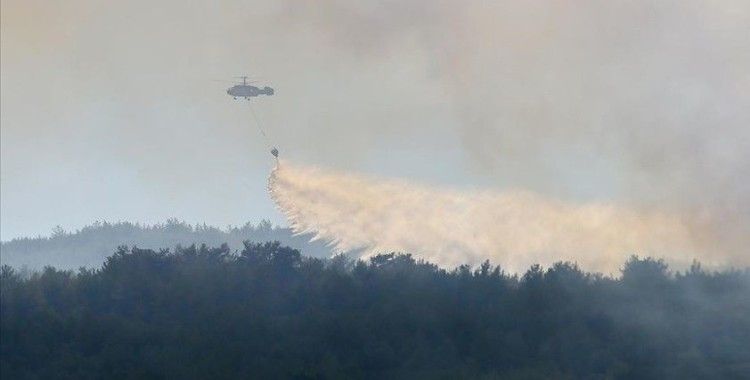 Menderes'teki orman yangınıyla ilgili gözaltına alınan şüpheli tutuklandı