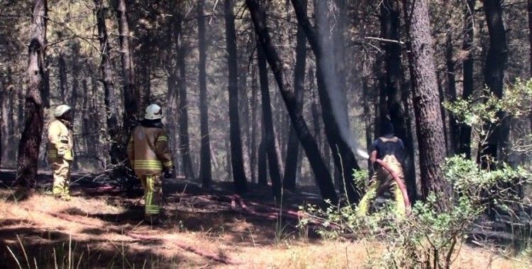 Aydos Ormanı'nda çıkan yangınla ilgili bir kişi gözaltına alındı