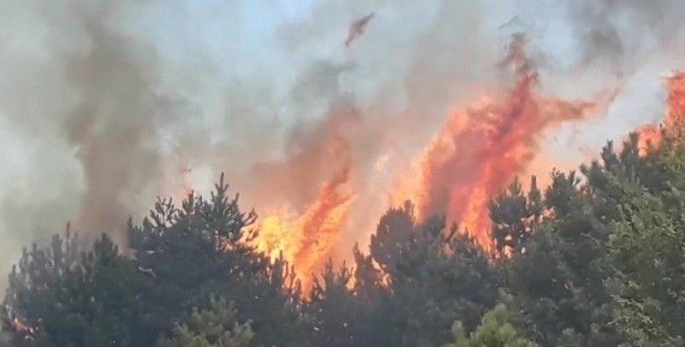 Kastamonu'da 200 hektarlık ormanlık alanda yangın çıktı