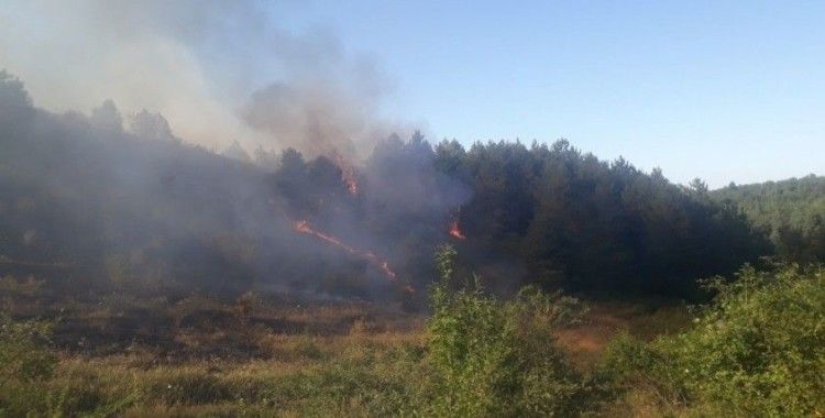 Kastamonu'da ormanlık alanda çıkan yangın rüzgar nedeniyle kontrol altına alınamıyor