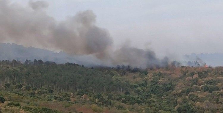 Yangın 15 kilometre uzunluğunda alanda etkili oluyor, helikopter müdahalesi başladı