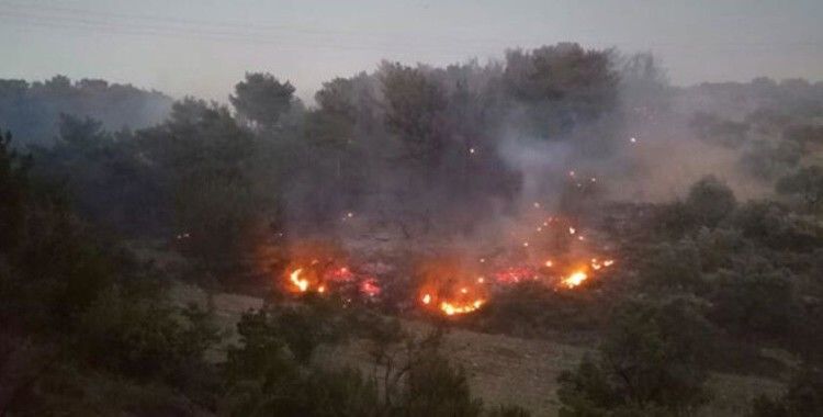 Soma'da orman yangını