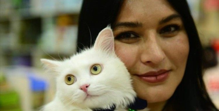 Iraklı kadın gazeteci ve kedisi Klu, Kovid-19'u birlikte yendi