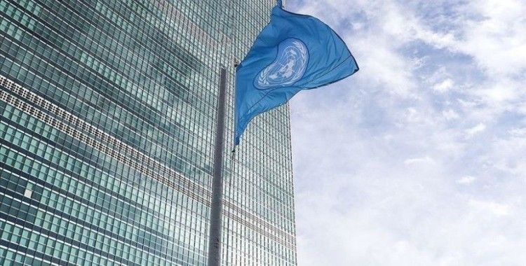Birleşmiş Milletler'den Belarus'a kınama