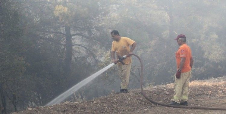 Menderes'teki orman yangınıyla ilgili flaş gelişme: O şahıs tutuklandı