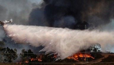 İspanya'da çıkan orman yangını hızla yayılıyor