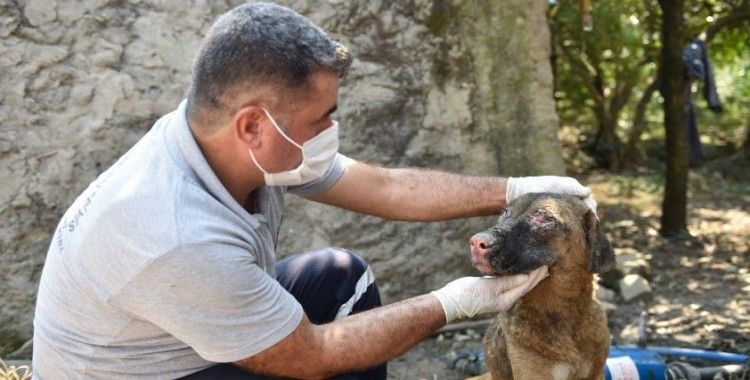 Büyükşehirden yangın mağdurlarına destek