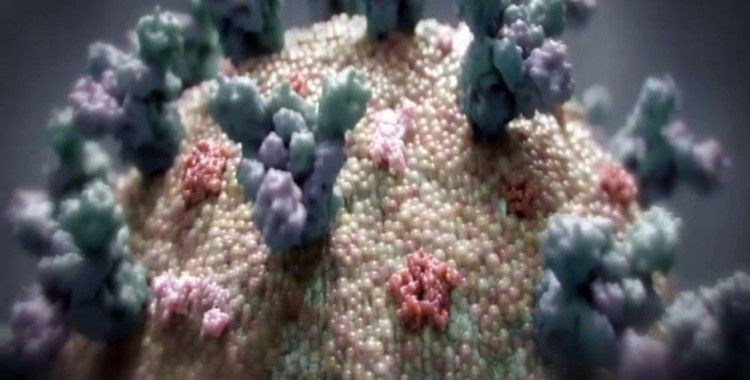 Hindistan'da son 24 saatte 83 binden fazla korona vakası