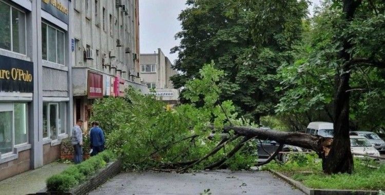 Maysak tayfunu Rusya'yı vurdu