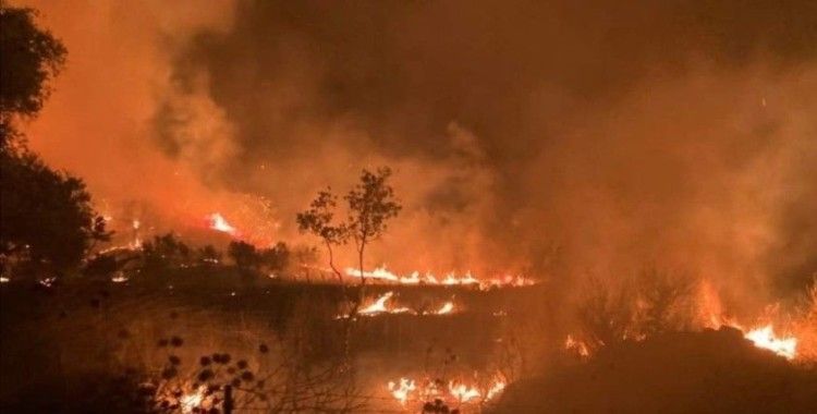 İzmir’de evde çıkan yangın zeytinlik alana sıçradı
