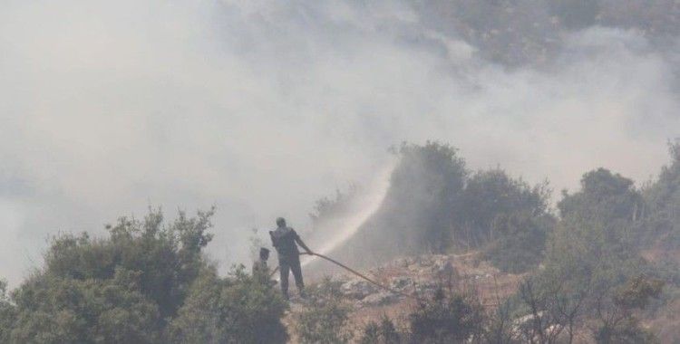 Ürdün'de orman yangını