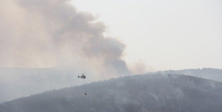 Kastamonu'da çıkan orman yangınını söndürme çalışmaları devam ediyor