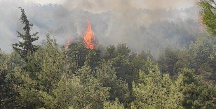 Hatay'daki yangın, rüzgarındaki etkisiyle ormanlık arazilere doğru ilerliyor