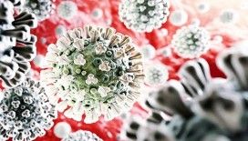 Azerbaycan'da son 24 saatte 161 yeni koronavirüs vakası tespit edildi